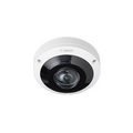 Panoramic Cameras