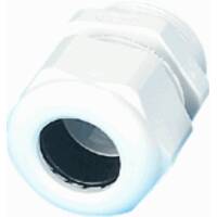 NetcamCenter 2372043