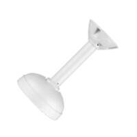 SAFR SFR-CAM-CEILING