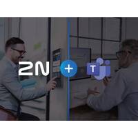 2N 9137921 - Teams license