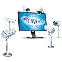 Qognify Cayuga S50X License incl.1 year SMA