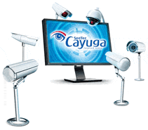Qognify Cayuga S50X License incl.1 year SMA